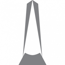 ADV Award Icon